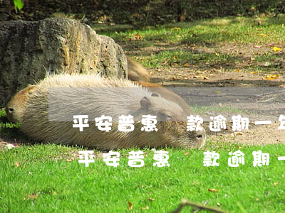 平安普惠貸款逾期一年會(huì)起訴嗎(平安普惠貸款逾期一年會(huì)起訴嗎)
