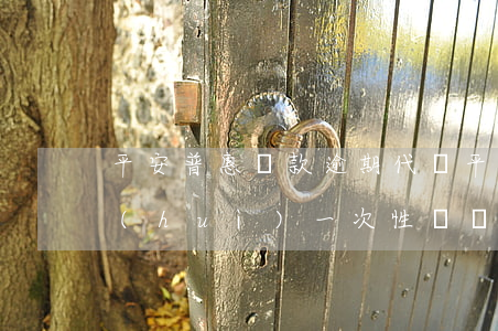 平安普惠貸款逾期代償(平安普惠逾期多久會(huì)一次性償還所有貸款)