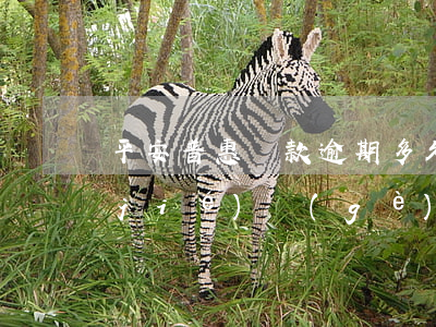 平安普惠貸款逾期多久會(huì)凍結(jié)個(gè)人財(cái)產(chǎn)-平安普惠貸款逾期多久會(huì)凍結(jié)個(gè)人財(cái)產(chǎn)賬戶