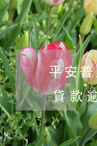 平安普惠貸款逾期多長時間會起訴(平安普惠貸款逾期多長時間會起訴)