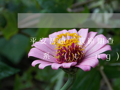 平安普惠貸款逾期查詢(平安普惠貸款逾期查詢系統(tǒng)官網(wǎng))