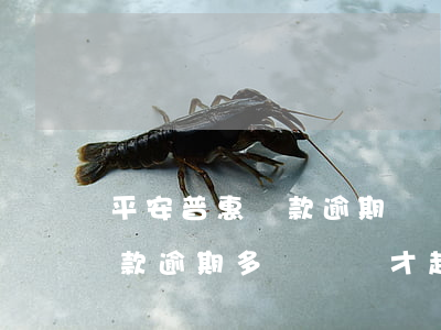 平安普惠貸款逾期沒還多久起訴(平安普惠借款逾期多長時間才起訴法院)