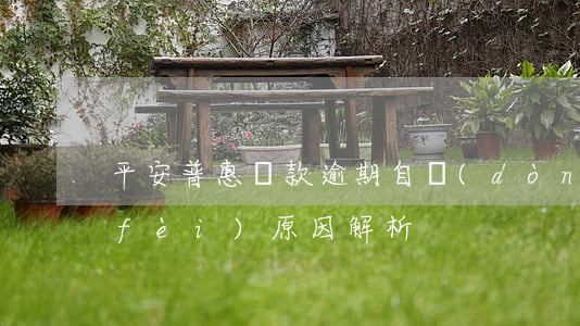 平安普惠貸款逾期自動(dòng)扣費(fèi)：原因解析
