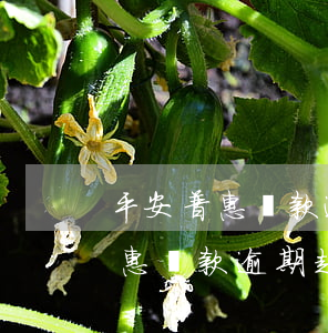 平安普惠貸款逾期起訴法院怎么辦?-平安普惠貸款逾期起訴法院怎么辦理