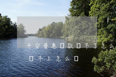 平安普惠貸款還不了怎么辦(在平安普惠貸款還不上怎么辦)