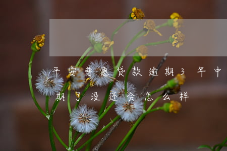 平安普惠贷款逾期3年(中国平安普惠贷款逾期了没还会怎么样)
