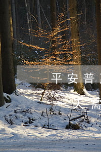 平安普惠贷款逾期一天6(平安普惠贷款逾期一天需要全额结清吗)