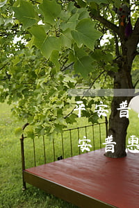 平安普惠贷款逾期一天就要打电话催吗-平安普惠贷款逾期一天就到处发信息骂人吗