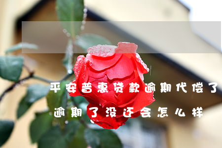 平安普惠贷款逾期代偿了(中国平安普惠贷款逾期了没还会怎么样)