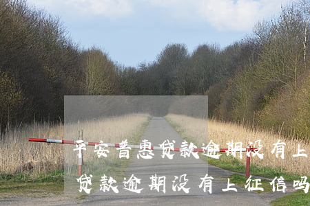平安普惠贷款逾期没有上征信吗-平安普惠贷款逾期没有上征信吗怎么办