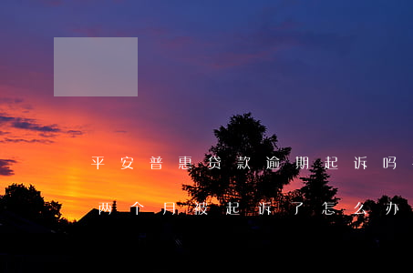平安普惠贷款逾期起诉吗(平安普惠贷款逾期两个月被起诉了怎么办)