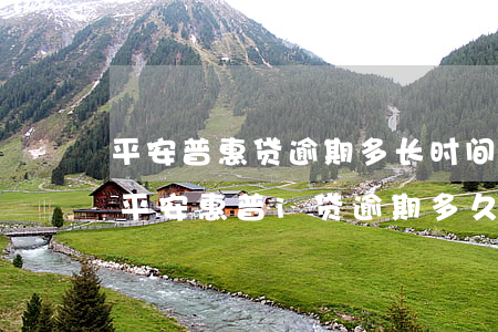 平安普惠贷逾期多长时间会被起诉信用贷款（平安惠普i贷逾期多久会被起诉）