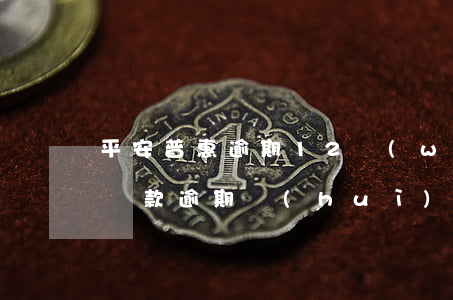 平安普惠逾期12萬(wàn)-平安普惠貸款逾期會(huì)怎樣