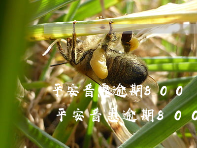 平安普惠逾期800會(huì)被起訴嗎(平安普惠逾期800會(huì)被起訴嗎)