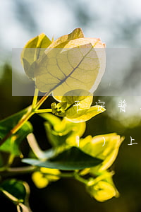平安普惠逾期8萬(wàn)法院會(huì)上門(mén)嗎(平安普惠逾期30萬(wàn)起訴真會(huì)告上法院去的嗎)