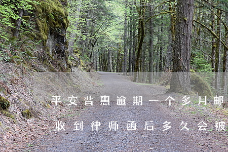 平安普惠逾期一个多月邮寄律师函(平安普惠收到律师函后多久会被起诉)