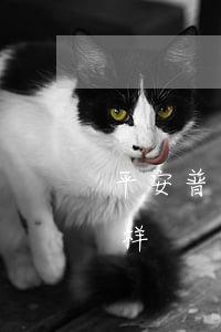 平安普惠逾期一次性(平安普惠逾期一天会怎样)