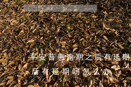 平安普惠逾期之后有延期吗(平安普惠逾期之后有延期吗怎么办)