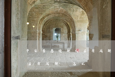 平安普惠逾期之后有延期嗎(平安普惠逾期之后有延期嗎怎么辦)