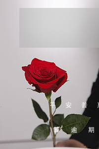 平安普惠逾期了没有还款(平安普惠几天不还算逾期)
