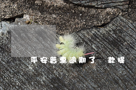 平安普惠逾期了還款提額(平安普惠延期還款)