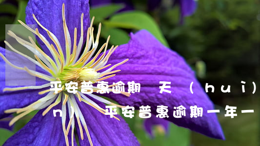 平安普惠逾期兩天會(huì)上門(mén)嗎(平安普惠逾期一年,一萬(wàn)多會(huì)被上門(mén)嗎)