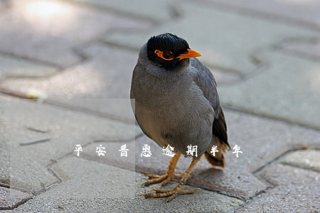 平安普惠逾期半年