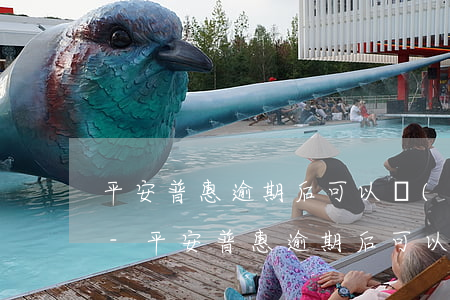 平安普惠逾期后可以協(xié)商解決嗎-平安普惠逾期后可以協(xié)商解決嗎