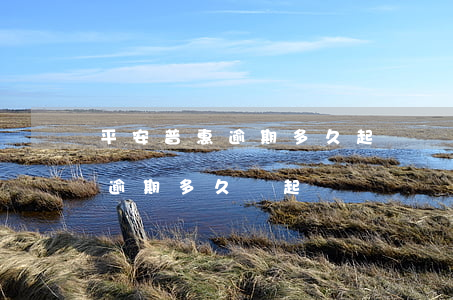 平安普惠逾期多久起訴會不會坐牢(平安普惠逾期多久會起訴?)