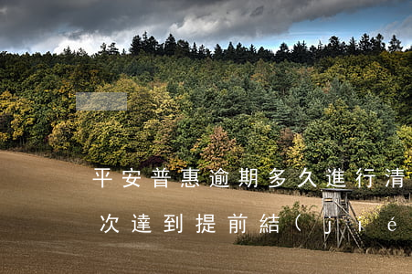 平安普惠逾期多久進行清算(平安普惠逾期幾次達到提前結(jié)清標準)