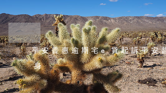 平安普惠逾期宅e貸起訴(平安普惠宅e貸親身)