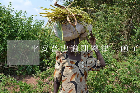 平安普惠逾期寄律師函了
