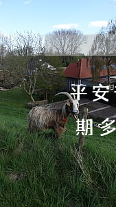 平安普惠逾期幾天能收到律師函(平安普惠逾期多長(zhǎng)時(shí)間會(huì)轉(zhuǎn)到律師事務(wù)所起訴)