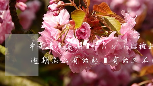 平安普惠逾期會(huì)被起訴(平安普惠逾期怎么有的起訴,有的又不起訴)