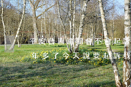 平安普惠逾期會不會起訴我(平安普惠逾期一年多了,今天說要起訴我)