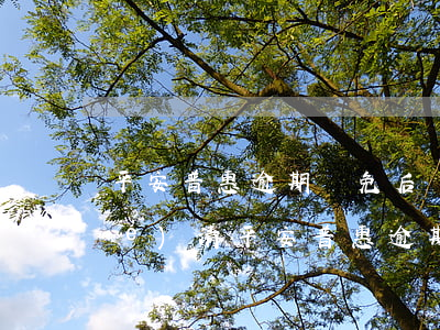 平安普惠逾期減免后,賬戶顯示沒有結(jié)清（平安普惠逾期減免后）