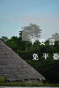 平安普惠逾期減免短信通知(平安普惠逾期減免平臺(tái)沒(méi)顯示減免金額)