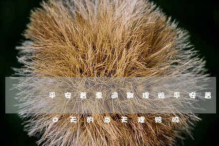平安普惠逾期理赔(平安普惠逾期理赔是在80天的当天理赔吗)