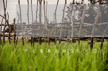 平安普惠逾期發(fā)律師函真假