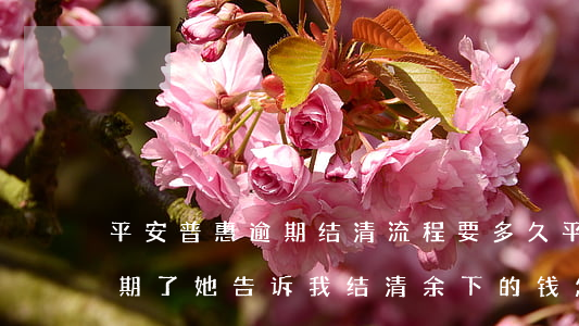 平安普惠逾期结清流程要多久 平安普惠的逾期了她告诉我结清余下的钱怎么办