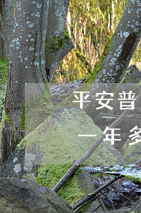 平安普惠逾期被起訴了怎么辦(平安普惠逾期一年多了,今天說要起訴我)
