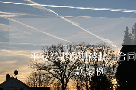 平安普惠逾期被起訴合同詐騙(被平安普惠起訴詐騙貸款案例)