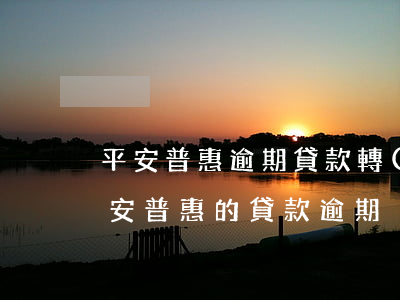 平安普惠逾期貸款轉(zhuǎn)讓(欠平安普惠的貸款逾期沒還真的會被起訴嗎)