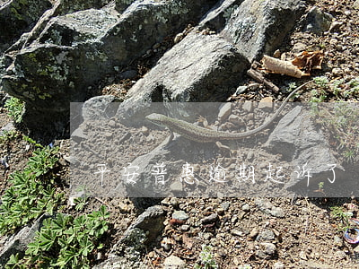 平安普惠逾期起诉了