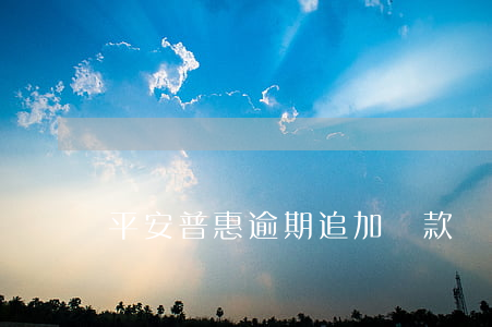 平安普惠逾期追加貸款
