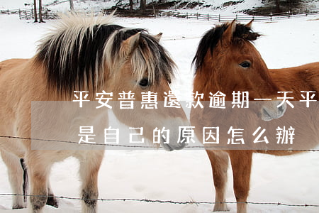 平安普惠還款逾期一天(平安普惠逾期一天不是自己的原因怎么辦)
