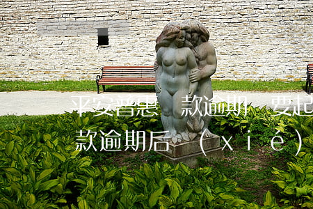 平安普惠還款逾期說要起訴我-平安普惠貸款逾期后協(xié)商還款了,怎么還顯示逾期