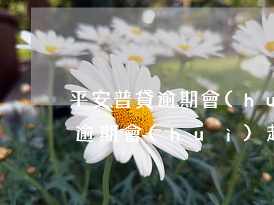 平安普貸逾期會(huì)起訴嗎(平安普貸逾期會(huì)起訴嗎)