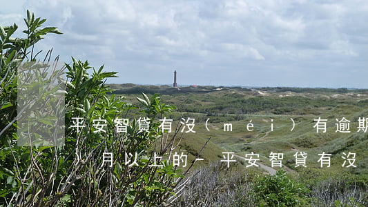 平安智貸有沒(méi)有逾期3個(gè)月以上的-平安智貸有沒(méi)有逾期3個(gè)月以上的人
