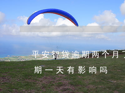 平安智贷逾期两个月了会怎么样(平安智贷逾期一天有影响吗)